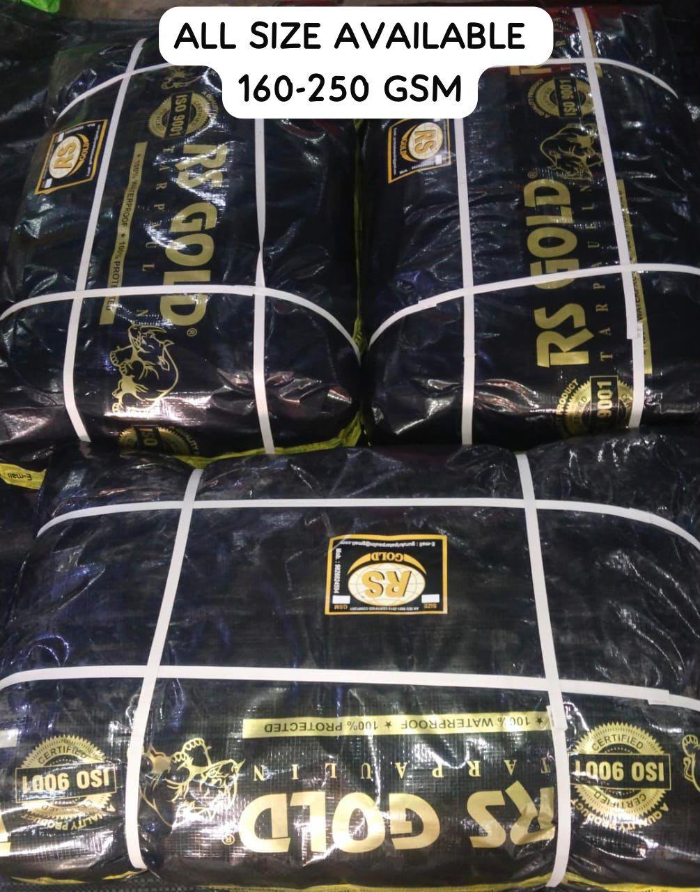 RS Gold Black Packed