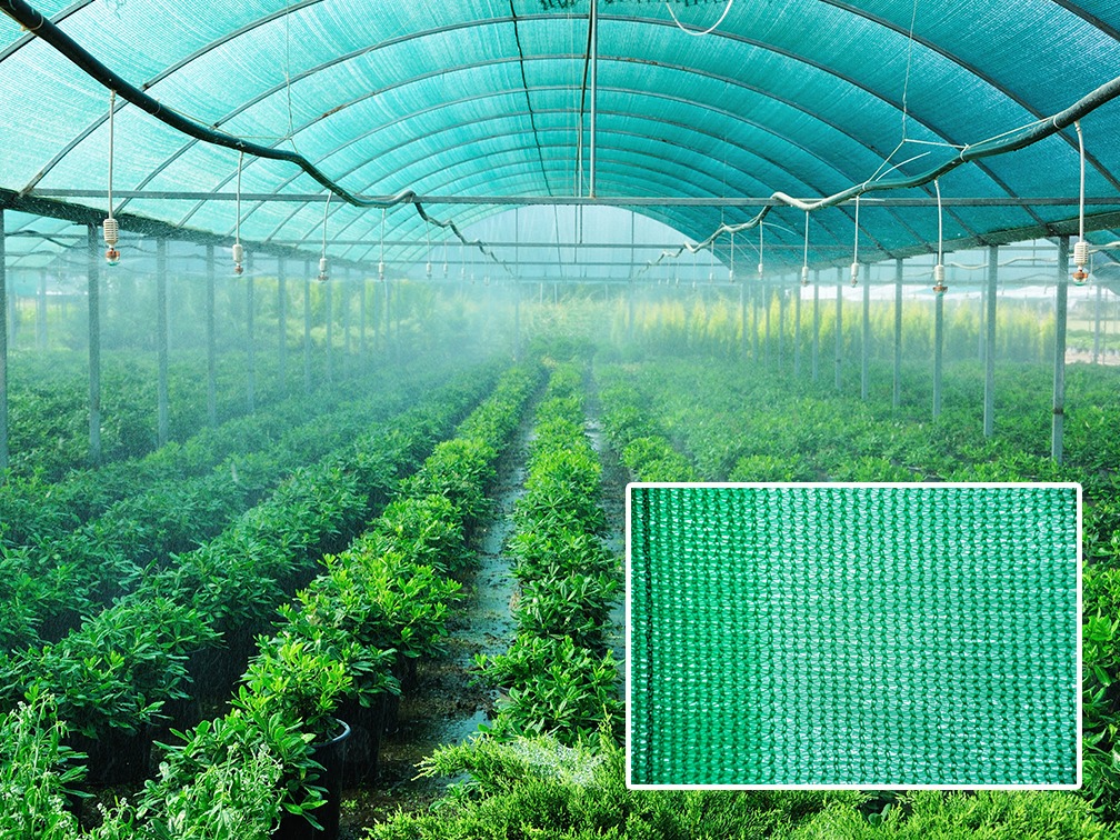 Agro Shade Net / HDPE Green Net - Greenhouse Application